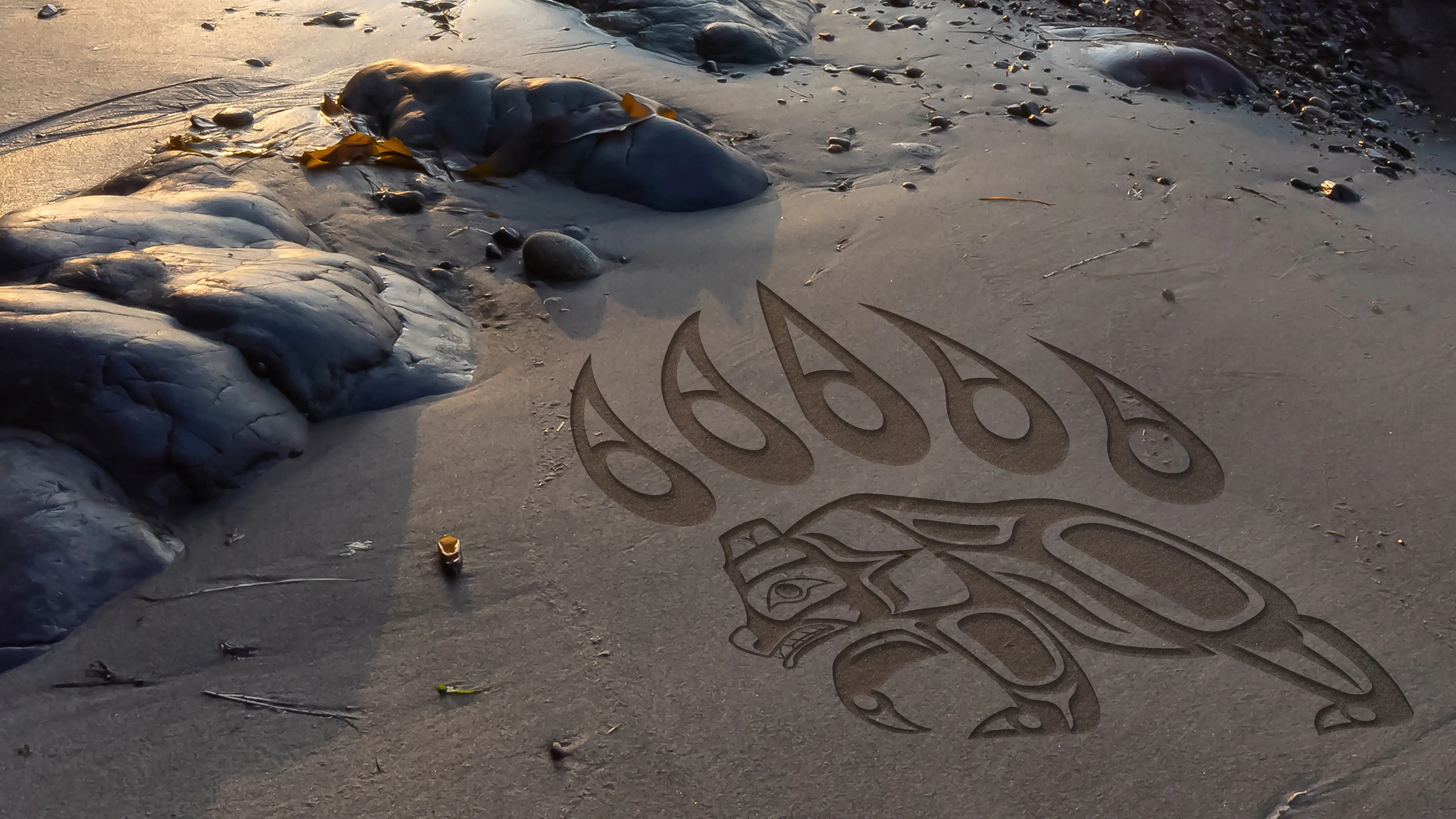IMS bear logo in sand
