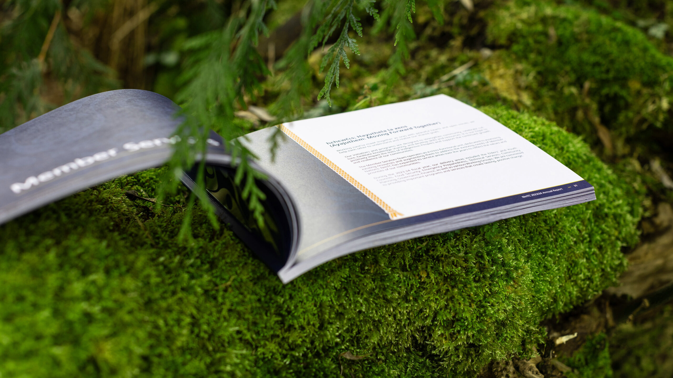 An open annual report rests on moss-covered rocks with green foliage in the foreground.